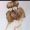 Jeslyn_6079