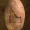 Idaho_Spud