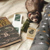 Ferrets_in_scarves