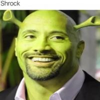 The_Shrock_556