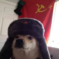 Dogo_Sovietico