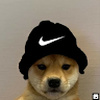 DogWithHat