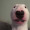 DaoistgQKCfw