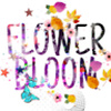 flowerbloom_5966