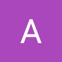 Aryani_Amin