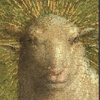 Holy_Sheep