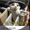 Fly_you_fools