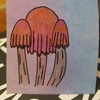 Mushrooms_2591