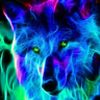 Neon_Wolfs