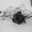 Lee_Yu_Na