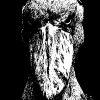 Shoebill