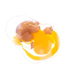 Smashed_Egg