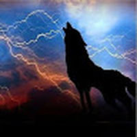 Energized_Wolf