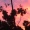 ShMaSuSi_333