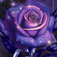 Purple_4_Roses