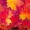 An_Autumn