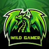 wild_gamer