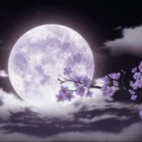 moon_shines