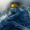 Masterchiefminer