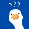 Duck_oo