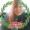 Shawna_Haddan