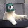 JT_The_Polar_Bear