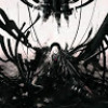Shadow_BLAck_1018