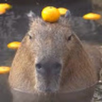 Capybara_Enjoyer