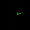Shadow_Hunter_6516