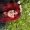 Jessica_Cobb_5909