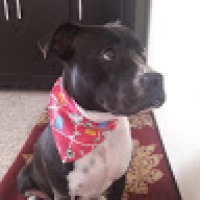 Sebastian_Martinez_4590