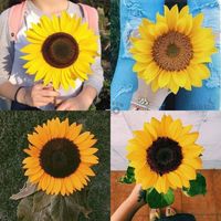 sunnnyflower