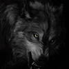 The_vampwolf_
