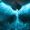 Aqua_Fenix