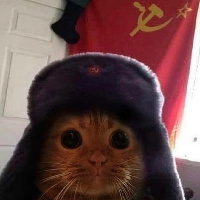 Komrade_Kitty
