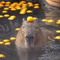 RevengefulCapybara