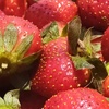 Strawberry09
