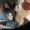 Joann_Laws