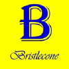 Bristlecone