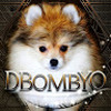 DBOMB_YO