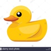 Duck48