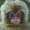 jack_Lingscheit