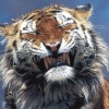 Keithm
