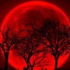 Red_Moon17
