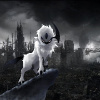 BlackAbsol444