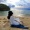 Elfira_AG