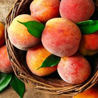 Peaches_187