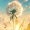 Sky001