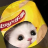 XXELL