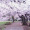 Ali_Rahman_5069